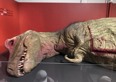 T.Rex Autopsy exhibition – Australian Museum